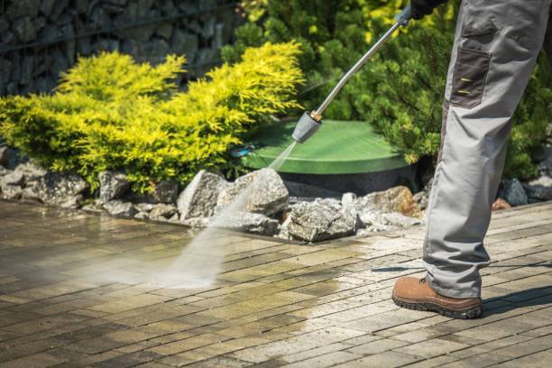 Best Solar Panel Cleaning  in Tahoka, TX
